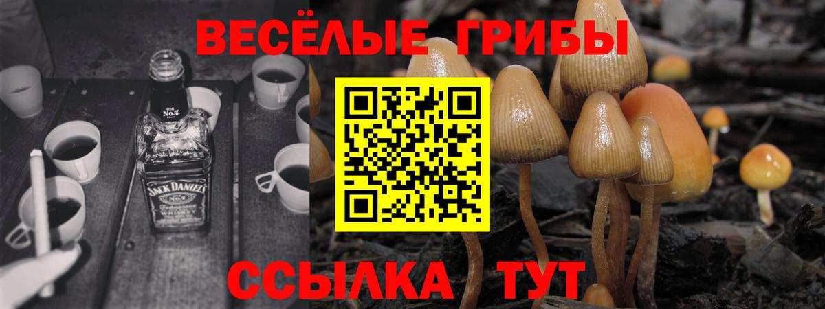 Псилоцибиновые грибы Magic Shrooms Гурьевск